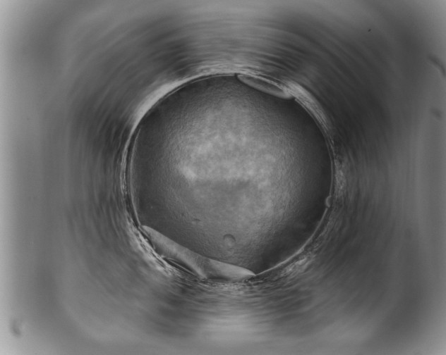 X0000100781052200806261625