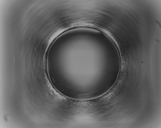 X0000100781053200806261625