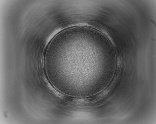 X0000100781054200806261625