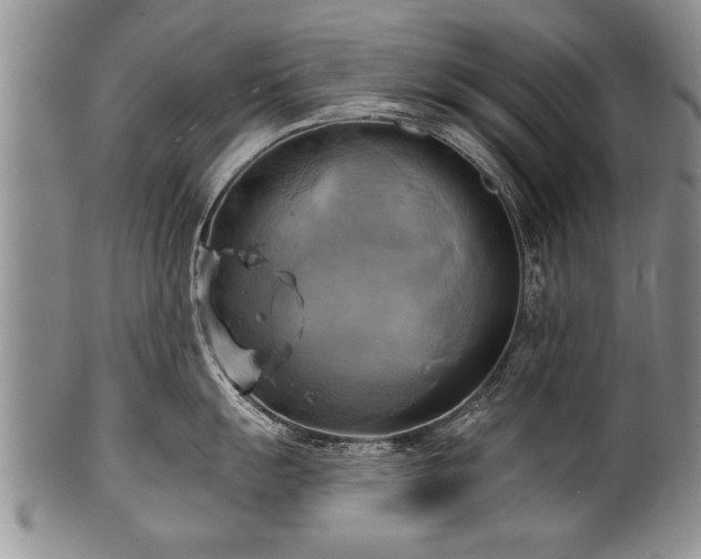 X0000100781055200806261625