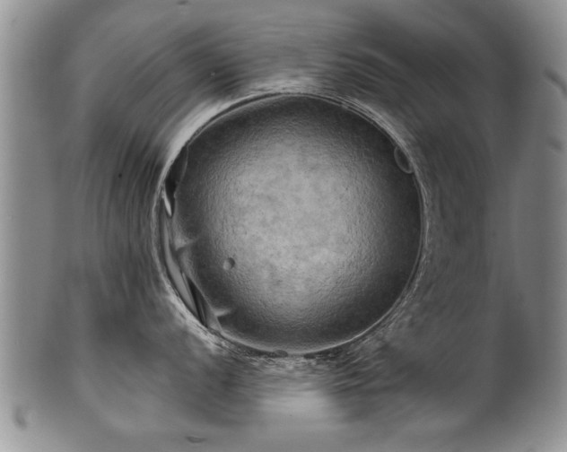 X0000100781056200806261625