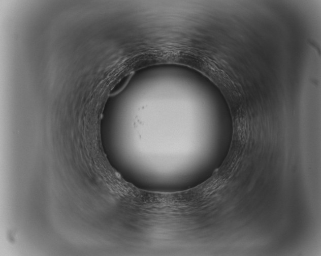 X0000100781057200806261624