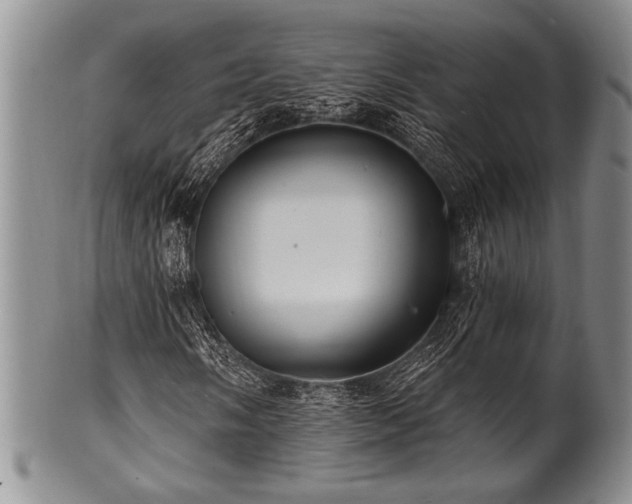 X0000100781058200806261624