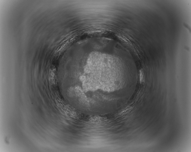 X0000100781059200806261624