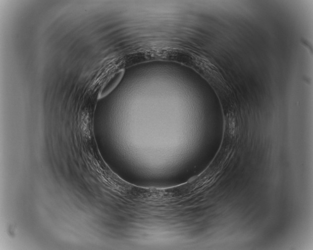 X0000100781060200806261624