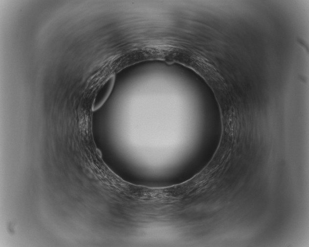 X0000100781061200806261624