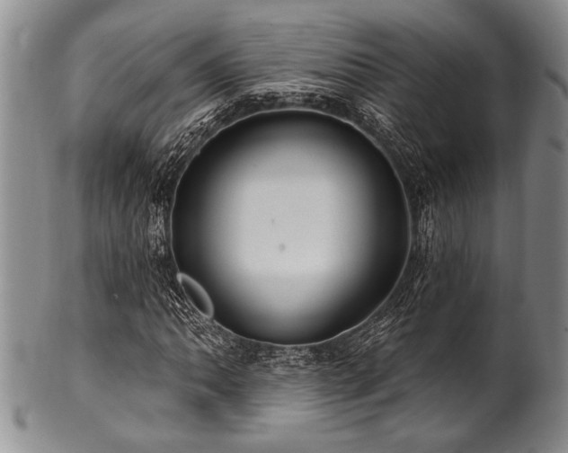 X0000100781062200806261624