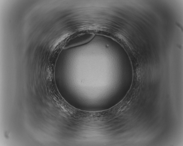 X0000100781064200806261624