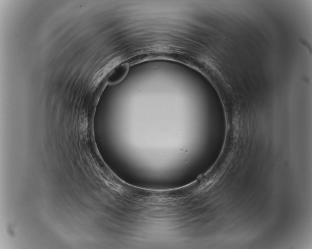 X0000100781065200806261624