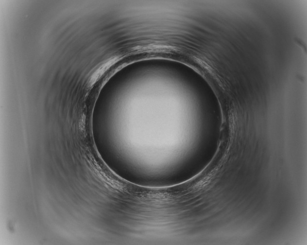 X0000100781066200806261624