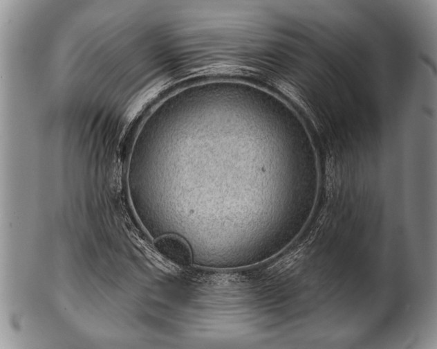 X0000100781067200806261624