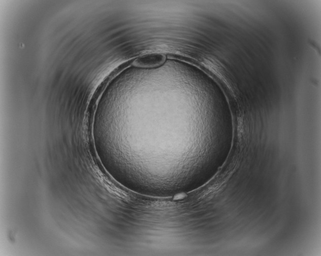 X0000100781068200806261624