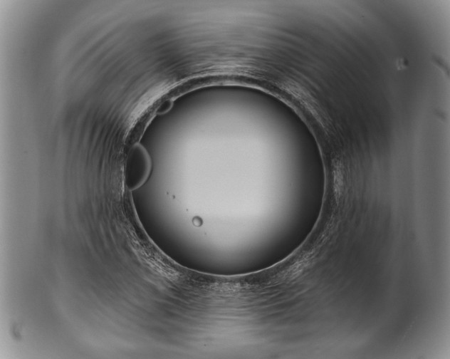 X0000100781069200806261624