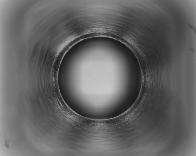 X0000100781070200806261624