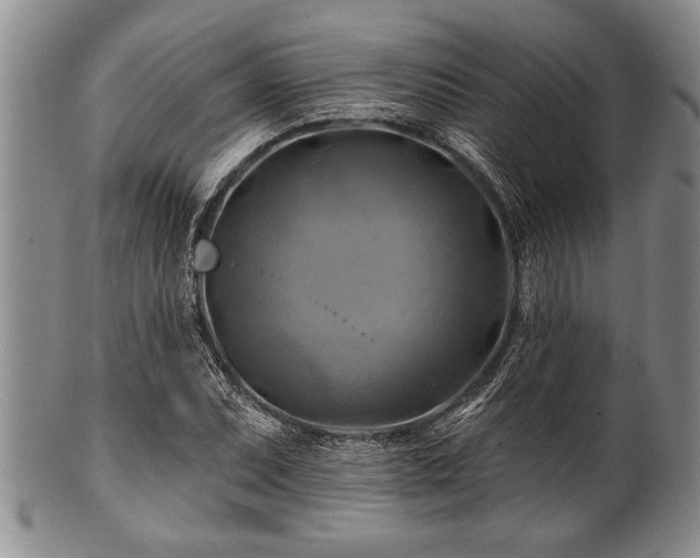 X0000100781071200806261624