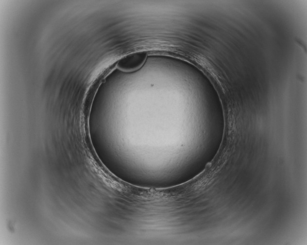 X0000100781072200806261624