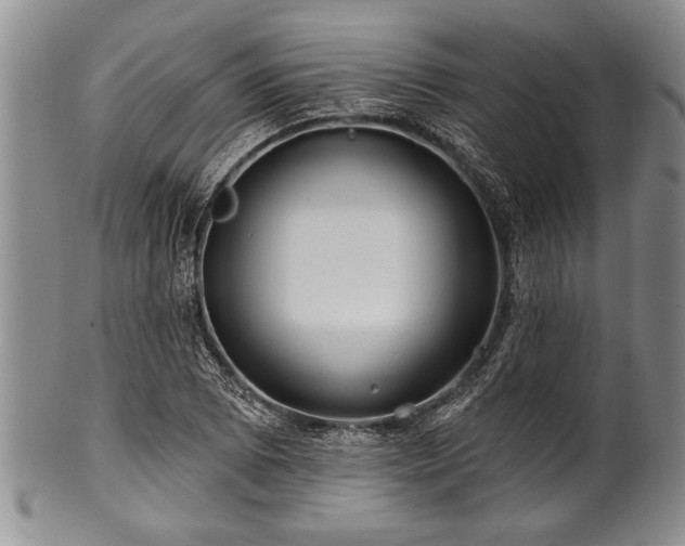 X0000100781073200806261624