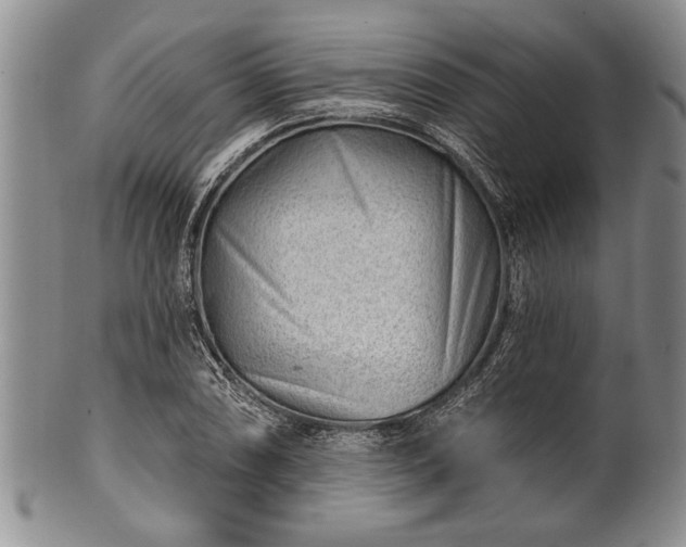 X0000100781074200806261624