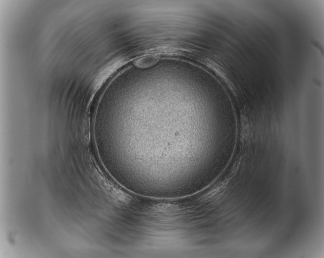 X0000100781075200806261624