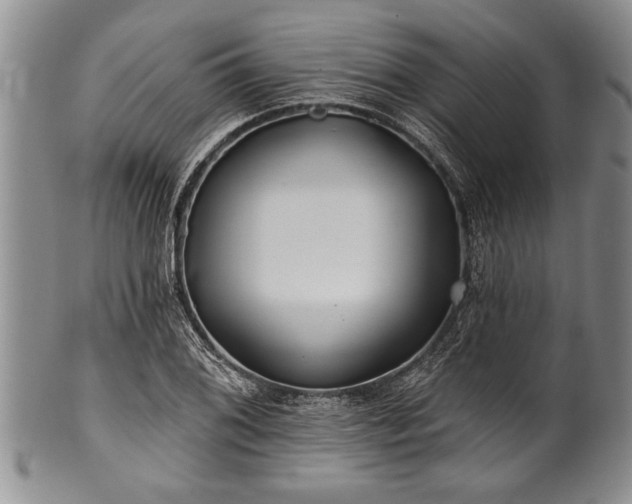 X0000100781076200806261624