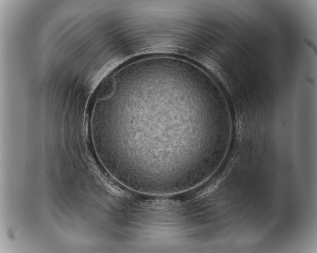 X0000100781077200806261624