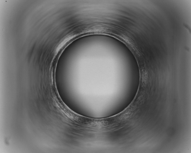 X0000100781078200806261624