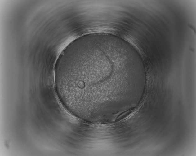 X0000100781079200806261624