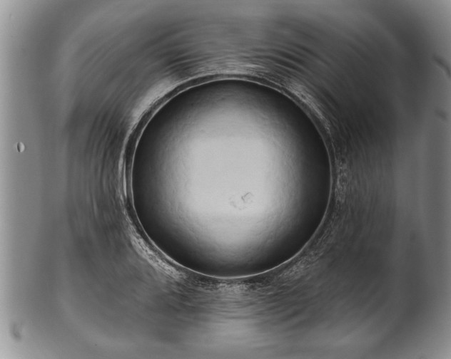 X0000100781080200806261624