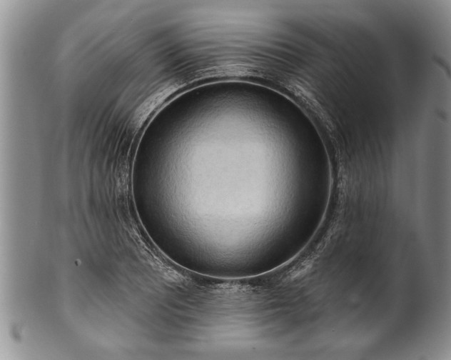 X0000100781081200806261624