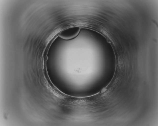 X0000100781082200806261624