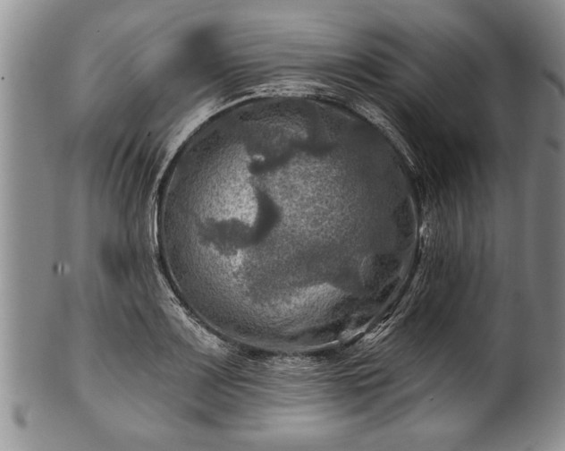 X0000100781083200806261623