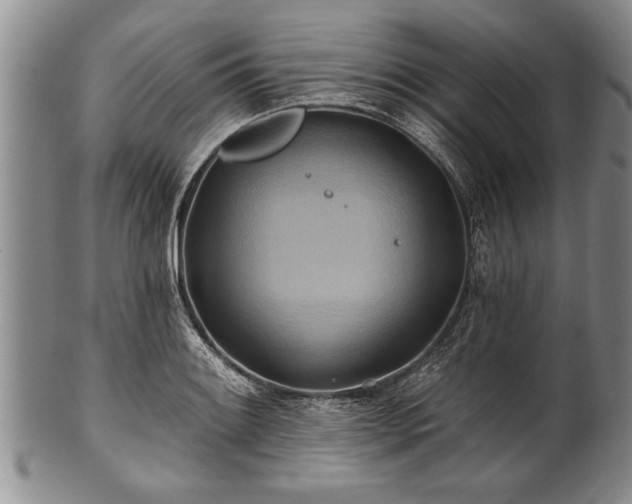 X0000100781084200806261623