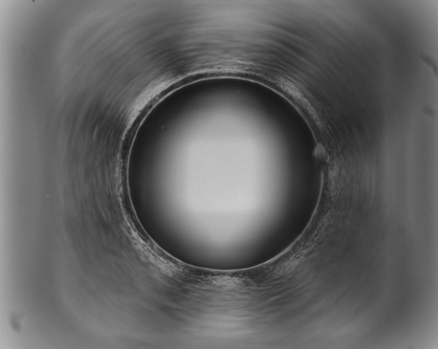 X0000100781085200806261623