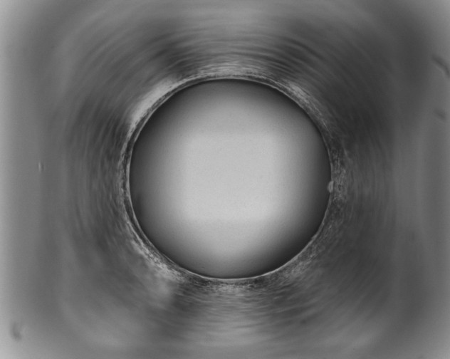 X0000100781086200806261623