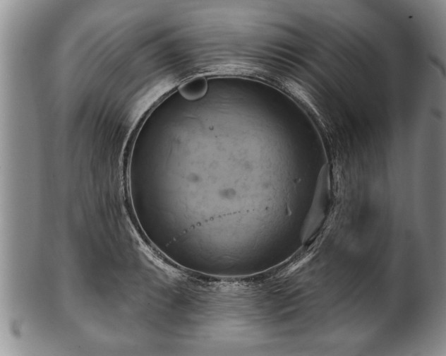 X0000100781087200806261623