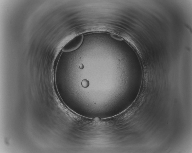 X0000100781088200806261623