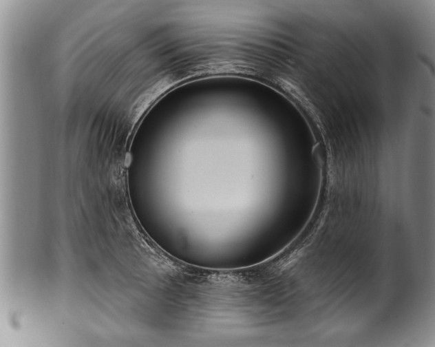 X0000100781089200806261623