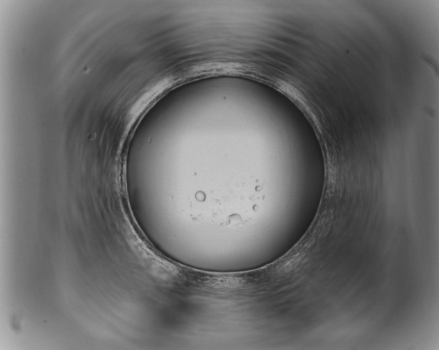 X0000100781090200806261623