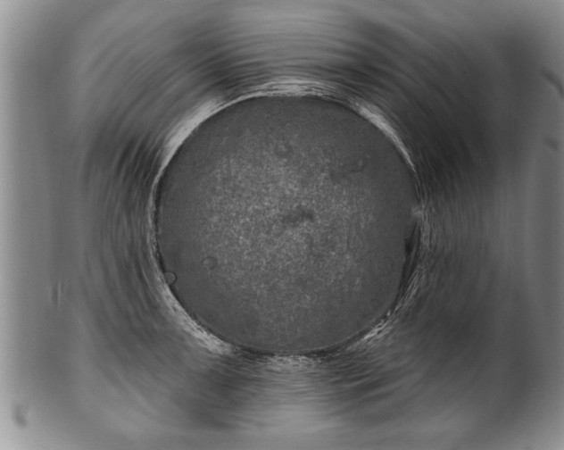 X0000100781091200806261623