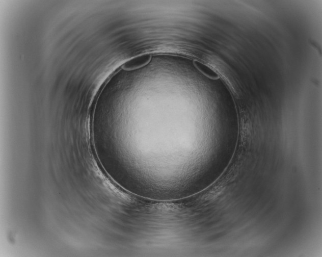 X0000100781092200806261623