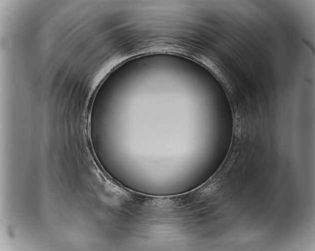 X0000100781094200806261623