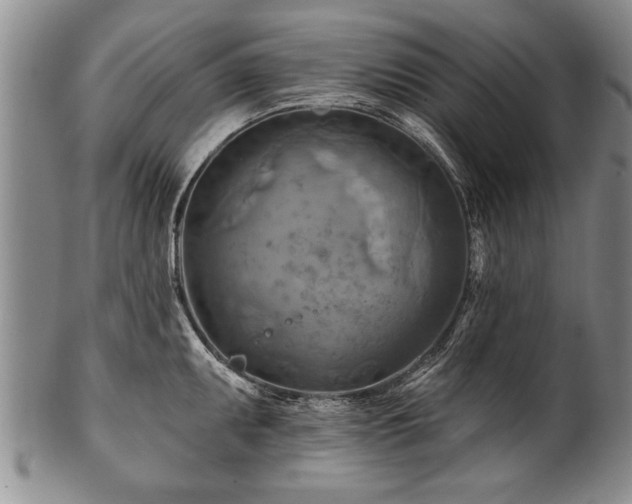 X0000100781095200806261623