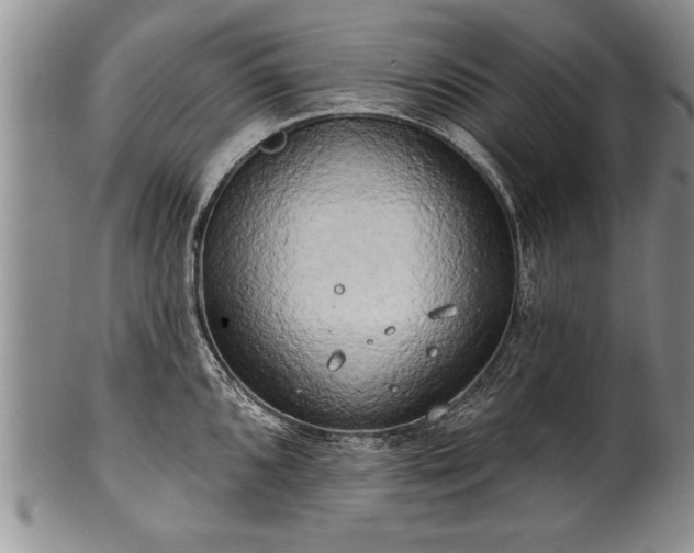 X0000100781096200806261623