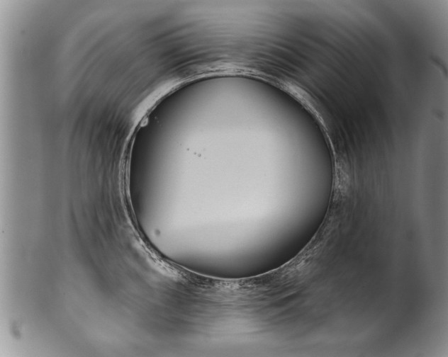 X0000100781098200806261623