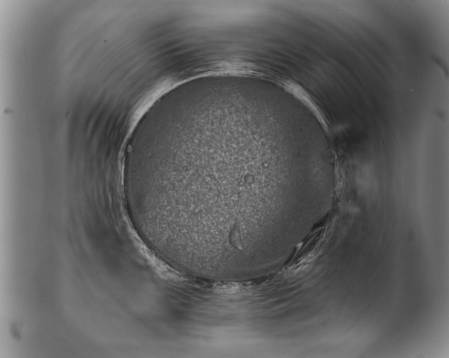 X0000100781099200806261623