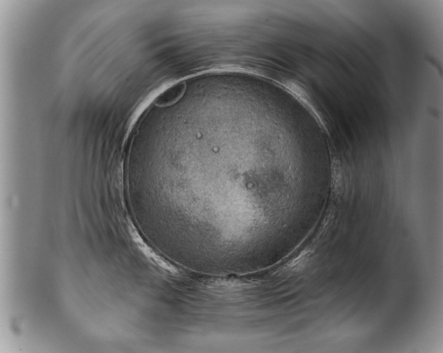 X0000100781100200806261623