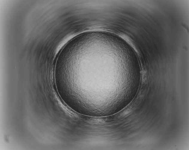 X0000100781101200806261623