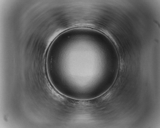 X0000100781102200806261623