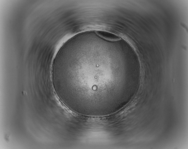 X0000100781104200806261623