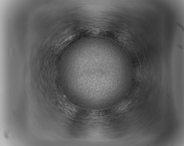 X0000100781105200806261622